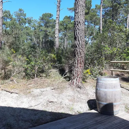 Hotel Domaine Residentiel Naturiste De La Jenny Chalet 6 Pers Le Porge